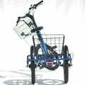 joytrike Dreirad Neigetechnik hinten nach links